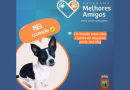 Inscrições para a castração de cães e gatos estão abertas no município