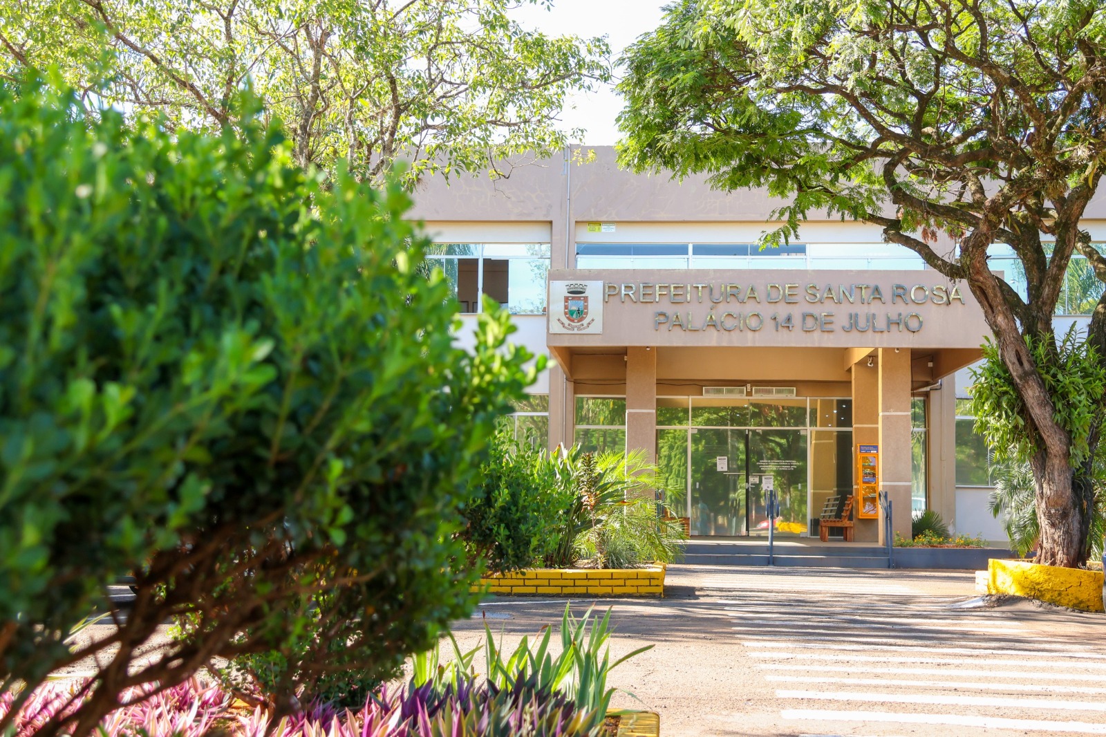 WhatsApp Image 2026-02-11 at 16.16.24