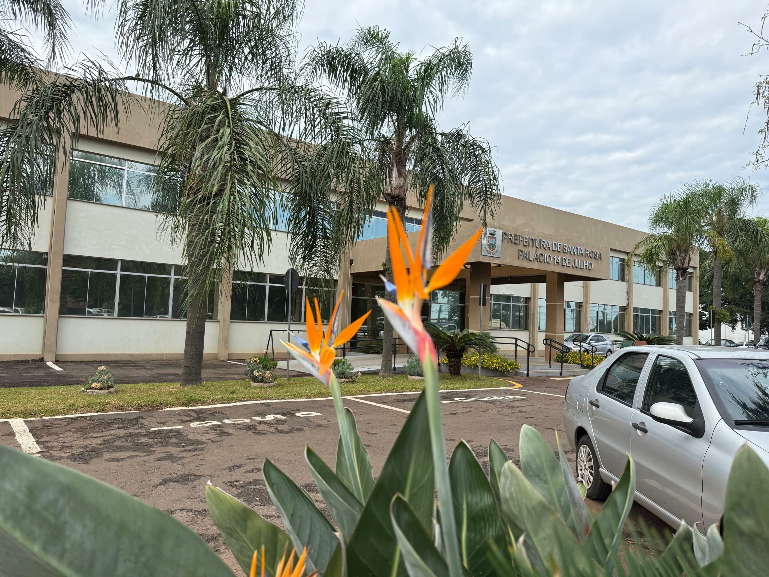 WhatsApp Image 2026-02-18 at 14.49.47