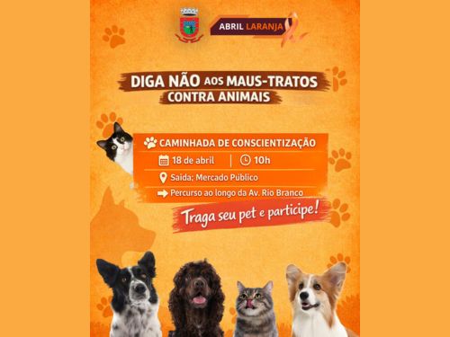 Formato Intranet 500×375 (1)