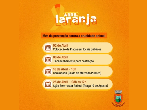 Formato Intranet 500×375 (15)