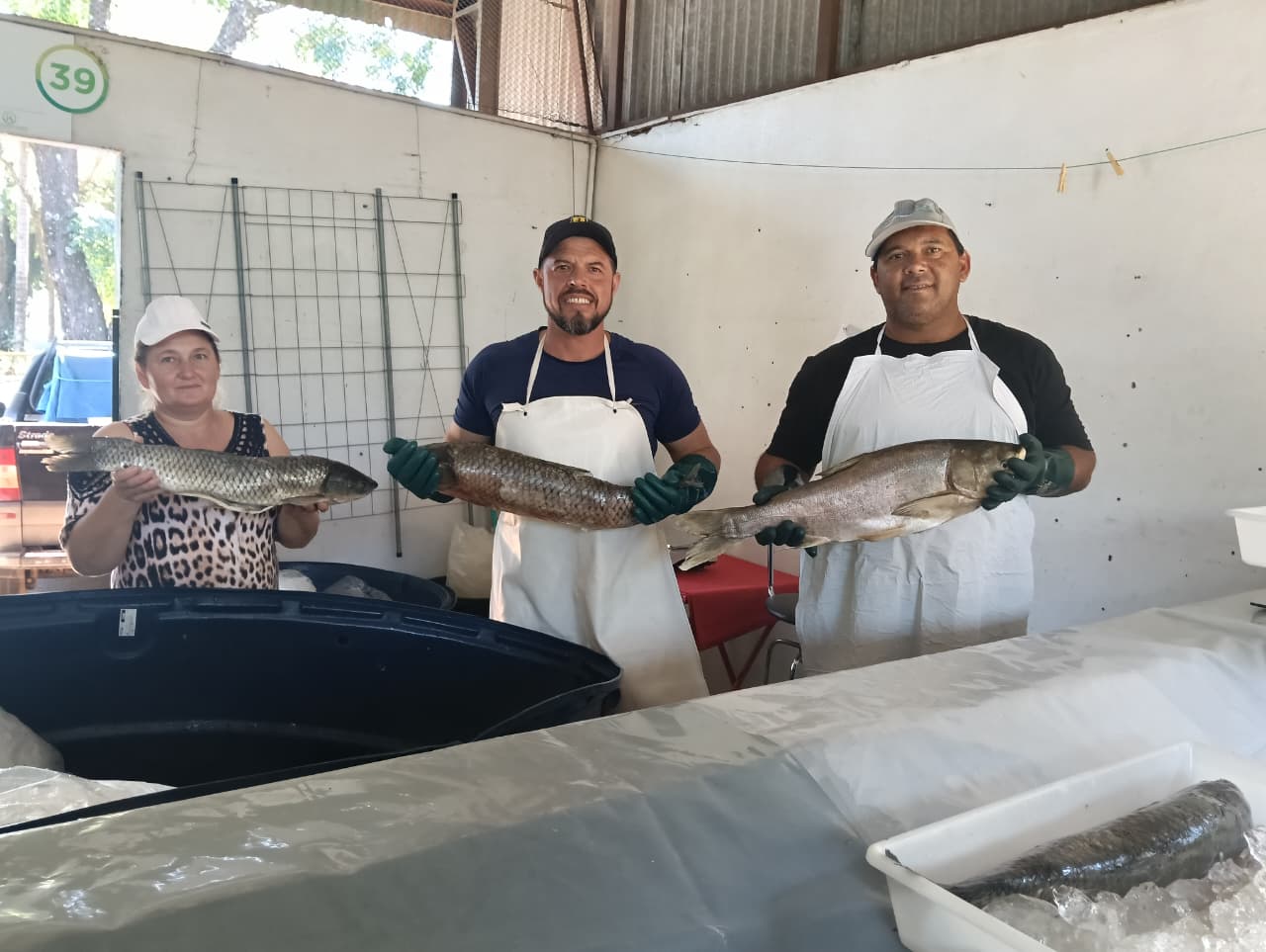 WhatsApp Image 2026-04-02 at 14.39.14