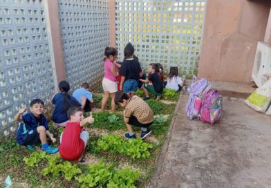 Alunos da EMEF Giordani desenvolvem projeto de cultivo da horta escolar Alunos da EMEF Giordani desenvolvem projeto de cultivo da horta escolar